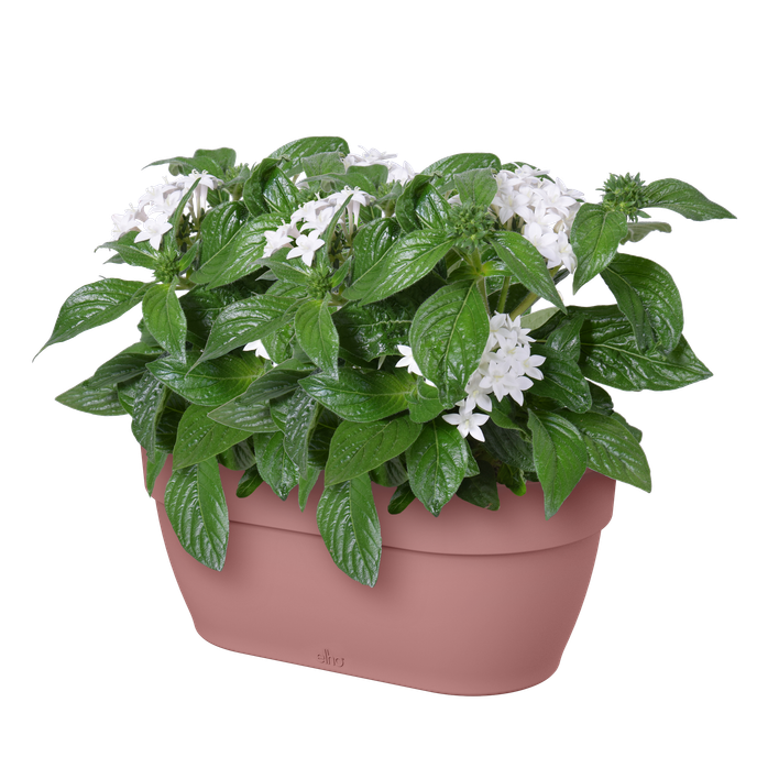 vibia campana mural 35cm Rose poussière